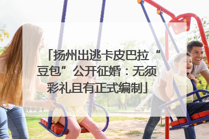 扬州出逃卡皮巴拉“豆包”公开征婚：无须彩礼且有正式编制
