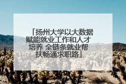 扬州大学以大数据赋能就业工作和人才培养 全链条就业帮扶畅通求职路