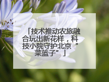 技术推动农旅融合玩出新花样，科技小院守护北京“菜篮子”