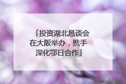 投资湖北恳谈会在大阪举办，携手深化鄂日合作