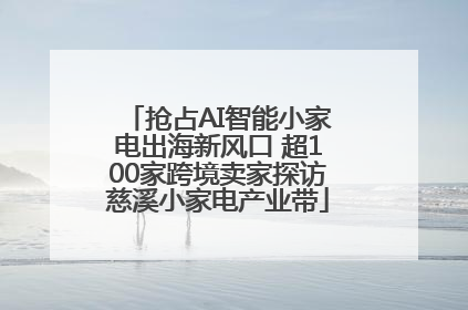 抢占AI智能小家电出海新风口 超100家跨境卖家探访慈溪小家电产业带