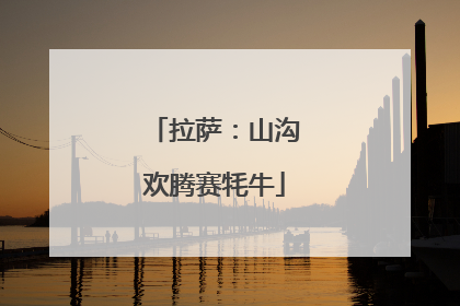 拉萨：山沟欢腾赛牦牛