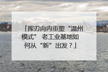 挥刃向内重塑“温州模式” 老工业基地如何从“新”出发？