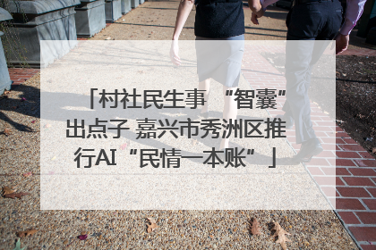 村社民生事 “智囊”出点子 嘉兴市秀洲区推行AI“民情一本账”