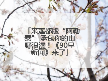来莲都版“阿勒泰” 承包你的山野浪漫！《90早新闻》来了