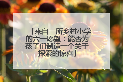 来自一所乡村小学的六一愿望：能否为孩子们制造一个关于探索的惊喜