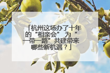 杭州这场办了十年的“相亲会” 为“一带一路”共建带来哪些新机遇？