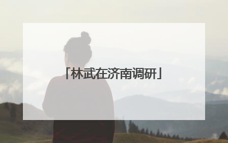林武在济南调研