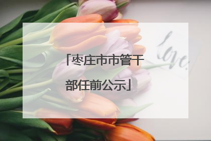 枣庄市市管干部任前公示