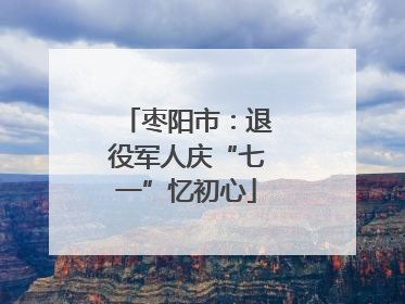 枣阳市：退役军人庆“七一”忆初心