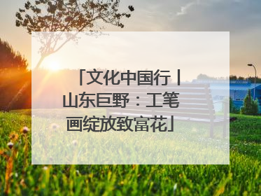 文化中国行丨山东巨野：工笔画绽放致富花