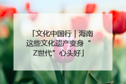 文化中国行｜海南这些文化遗产变身“Z世代”心头好