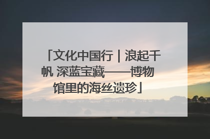 文化中国行｜浪起千帆 深蓝宝藏——博物馆里的海丝遗珍