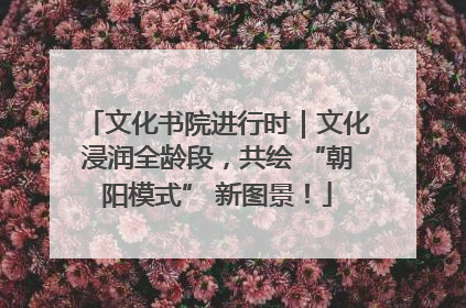 文化书院进行时｜文化浸润全龄段，共绘 “朝阳模式” 新图景！