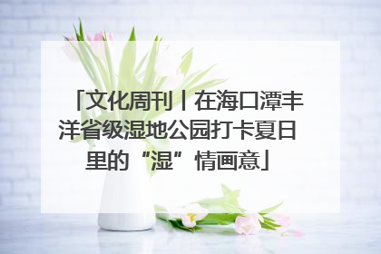 文化周刊丨在海口潭丰洋省级湿地公园打卡夏日里的“湿”情画意