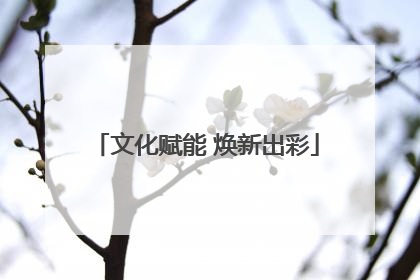 文化赋能 焕新出彩
