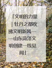 文明的力量｜牡丹之都吹拂文明新风——山东菏泽文明创建一线见闻