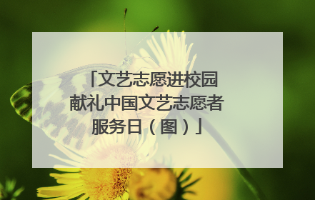 文艺志愿进校园 献礼中国文艺志愿者服务日（图）