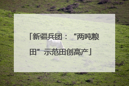 新疆兵团：“两吨粮田”示范田创高产