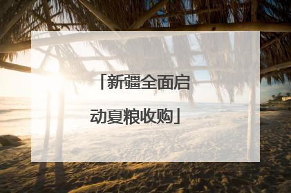 新疆全面启动夏粮收购