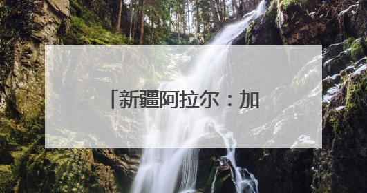 新疆阿拉尔：加强古树保护 守好“绿色文物”