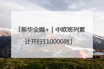 新华全媒+｜中欧班列累计开行110000列