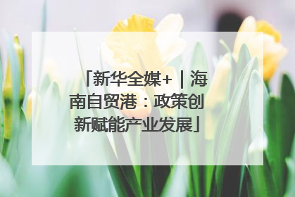 新华全媒+｜海南自贸港：政策创新赋能产业发展