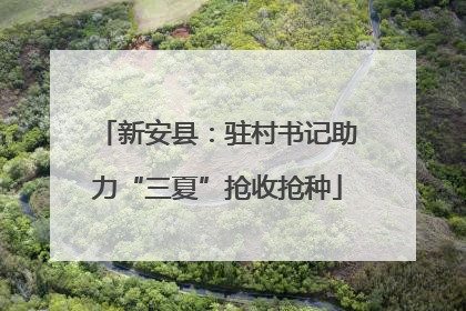 新安县：驻村书记助力“三夏”抢收抢种