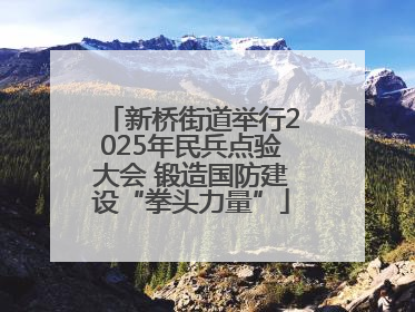 新桥街道举行2025年民兵点验大会 锻造国防建设“拳头力量”