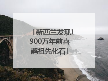 新西兰发现1900万年前喜鹊祖先化石