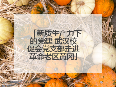 新质生产力下的党建 武汉校促会党支部走进革命老区黄冈