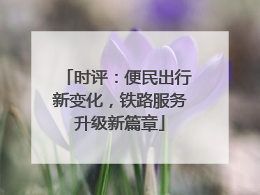 时评：便民出行新变化，铁路服务升级新篇章