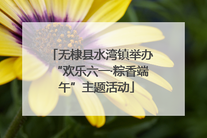 无棣县水湾镇举办“欢乐六一·粽香端午”主题活动