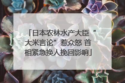 日本农林水产大臣“大米言论”惹众怒 首相紧急换人挽回影响