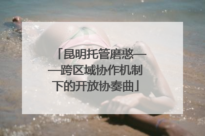 昆明托管磨憨——跨区域协作机制下的开放协奏曲