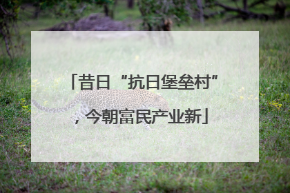 昔日“抗日堡垒村”，今朝富民产业新