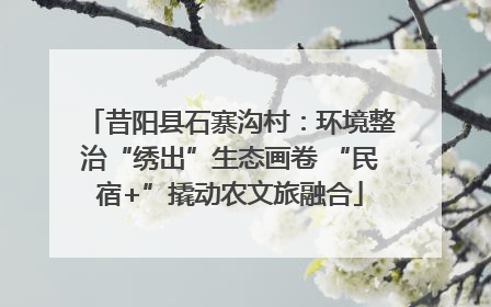 昔阳县石寨沟村：环境整治“绣出”生态画卷 “民宿+”撬动农文旅融合