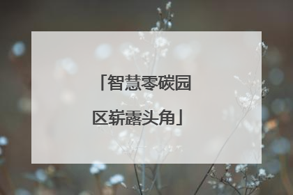 智慧零碳园区崭露头角
