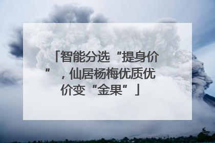 智能分选“提身价”，仙居杨梅优质优价变“金果”
