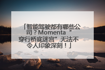 智能驾驶都有哪些公司？Momenta“穿行桥底迷宫”无法不令人印象深刻！