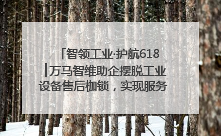 智领工业·护航618┃万马智维助企摆脱工业设备售后枷锁，实现服务与效能价值共振！