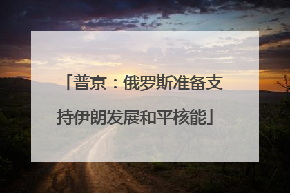 普京：俄罗斯准备支持伊朗发展和平核能
