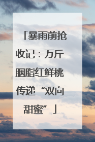 暴雨前抢收记：万斤胭脂红鲜桃传递“双向甜蜜”