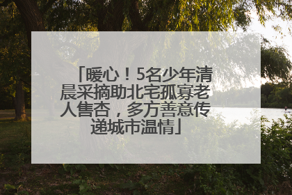 暖心！5名少年清晨采摘助北宅孤寡老人售杏，多方善意传递城市温情