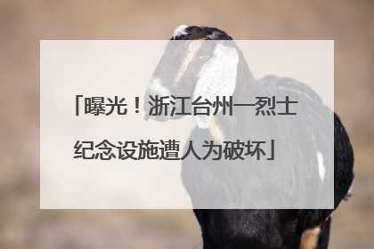 曝光！浙江台州一烈士纪念设施遭人为破坏