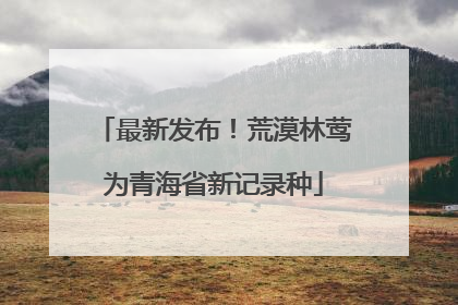 最新发布！荒漠林莺为青海省新记录种