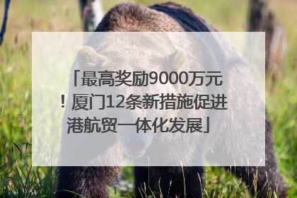 最高奖励9000万元！厦门12条新措施促进港航贸一体化发展