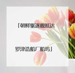 朝鲜驱逐舰抵达罗津造船厂船坞
