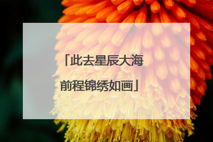 此去星辰大海 前程锦绣如画