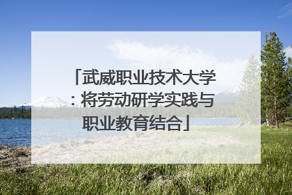 武威职业技术大学：将劳动研学实践与职业教育结合